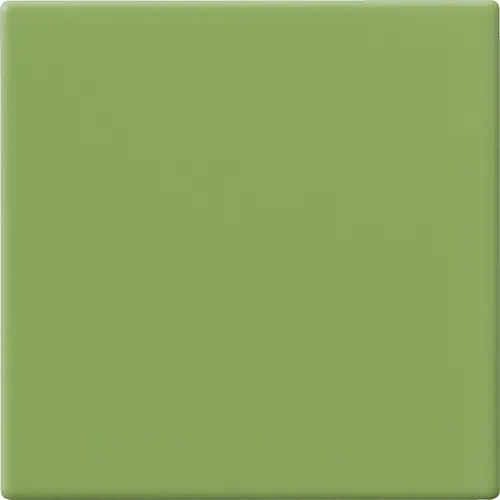 [5MA100100-52] CESI MATT 10x10 Kiwi (1m²/100st/doos)