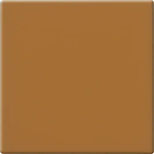 [5MA100100-62] CESI MATT 10x10 Caramello (1m²/100st/doos)