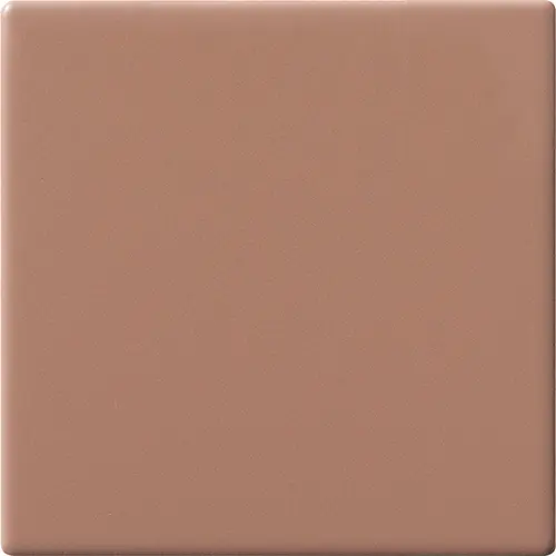 [5MA100100-65] CESI MATT 10x10 Pompelmo (1m²/100st/doos)