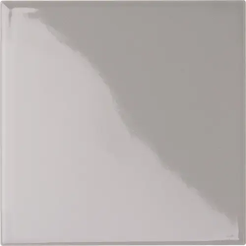 [5LU100100-113] CESI LUCIDI 10x10 Piombo (1m²/100st/doos)