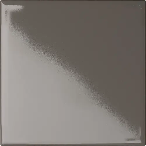 [5LU100100-125] CESI LUCIDI 10x10 Pirite (1m²/100st/doos)