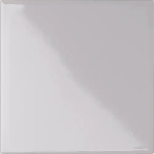 [5LU100100-116] CESI LUCIDI 10x10 Salgemma (1m²/100st/doos)
