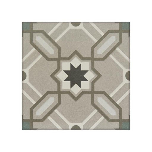 [RP2065-[T080]] CX 20x20 Revoir Paris Odie (1m²/25st/doos)