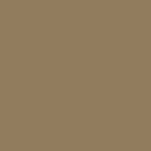 [43471-CAF] WINCKELMANS 10x10 Cafe Uni (0,5m²/50st/doos)