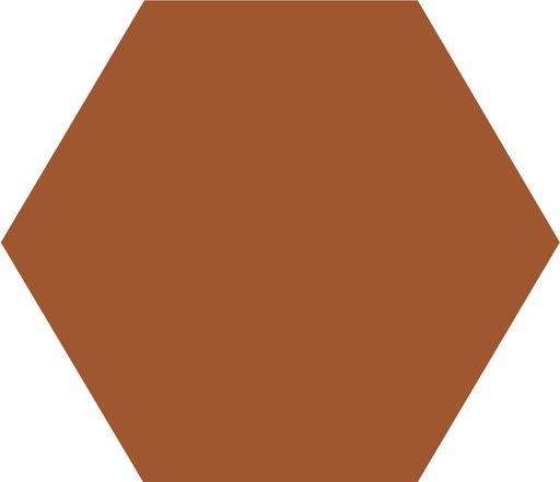[45045-CAR] WINCKELMANS HEXAGONE 10cm 9mm Caramel (0,42m²/46st/doos)