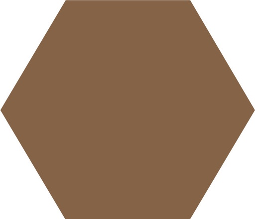 [43564-HAV] WINCKELMANS HEXAGONE 10cm 9mm Havane (0,42m²/46st/doos)