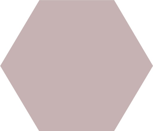 [43570-PAR] WINCKELMANS HEXAGONE 10cm 9mm Parme (0,42m²/46st/doos)