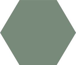 [43579-VEP] WINCKELMANS HEXAGONE 10cm 9mm Vert Pale (0,42m²/46st/doos)