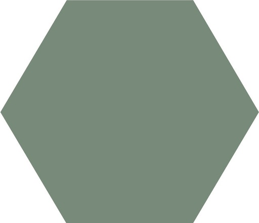 [43579-VEP] WINCKELMANS HEXAGONE 10cm 9mm Vert Pale (0,42m²/46st/doos)