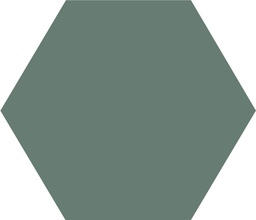 [43580-VEU] WINCKELMANS HEXAGONE 10cm 9mm Vert Uni (0,42m²/46st/doos)