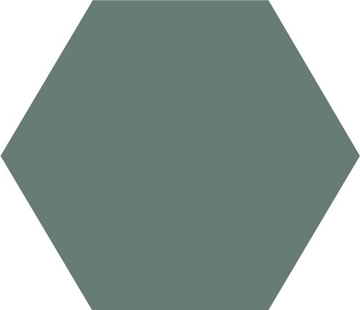 [43580-VEU] WINCKELMANS HEXAGONE 10cm 9mm Vert Uni (0,42m²/46st/doos)