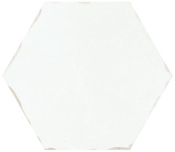 [AY0316] CX 13,9x16 Carmen Nomade Aqua (0,33m²/20st/doos)
