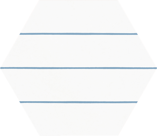 [CV2235] CX 25,1x22 Codicer95 Hex25 Blue Port Savona (1,04m²/25st/doos)