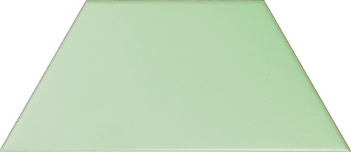 [TRA1680-[T190]] CX 23x10 Tonalite Trapez Matt Mint (0,39m²/23st/doos)