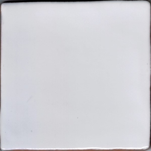 [CT1001-[T116]] CX 10x10 La Porta Cotto Blanco (0,50m²/50st/doos)