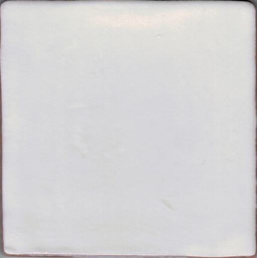 [CT1005-[T116]] CX 10x10 La Porta Cotto Blanco Mate (0,50m²/50st/doos)