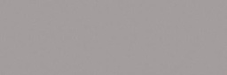 CESI MATT 10x30 Perla (1,02m²/34st/doos)