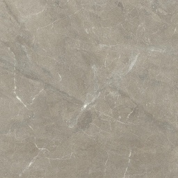LIVING VONN 60x60 Greige (9mm) (1,07m²/3st/doos)
