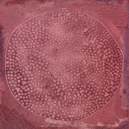 [VU2053] CX 20x20 Vives  Luca Carlo Granate (1m²/25st/doos)
