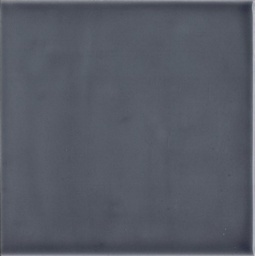 [AH1376] CX 13x13 Adex Habitat Liso Graphite Glossy (1,36m²/80st/doos)