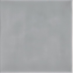 [AH1375] CX 13x13 Adex Habitat Liso Pewter Glossy (1,36m²/80st/doos)