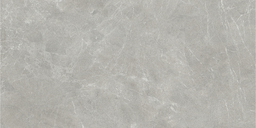 LIVING VONN 60x120 DUCTILE 6mm Grey (2,15m²/3st/doos)