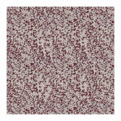 [45058-210] WINCKELMANS 10x10 Rouge Fijn Porfier 210 (0,5m²/50st/doos)