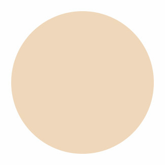 MAPEI Mapesil AC 132 koker 310ml (12st/ds)