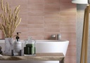 CX 6x24,6 Heritage Nala Coral (0,50m²/34st/doos)