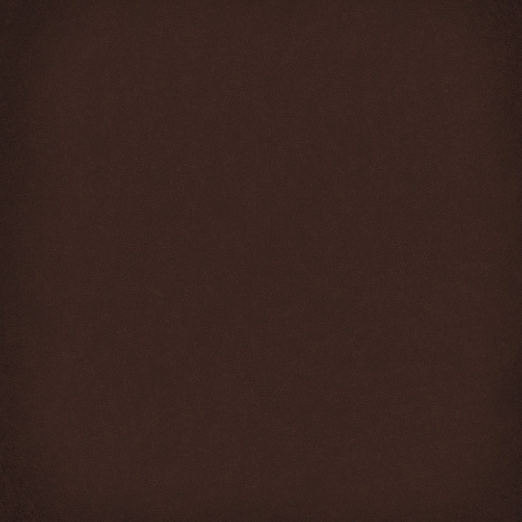 CX 20x20 Vives 1900 Chocolate (1m²/25st/doos)
