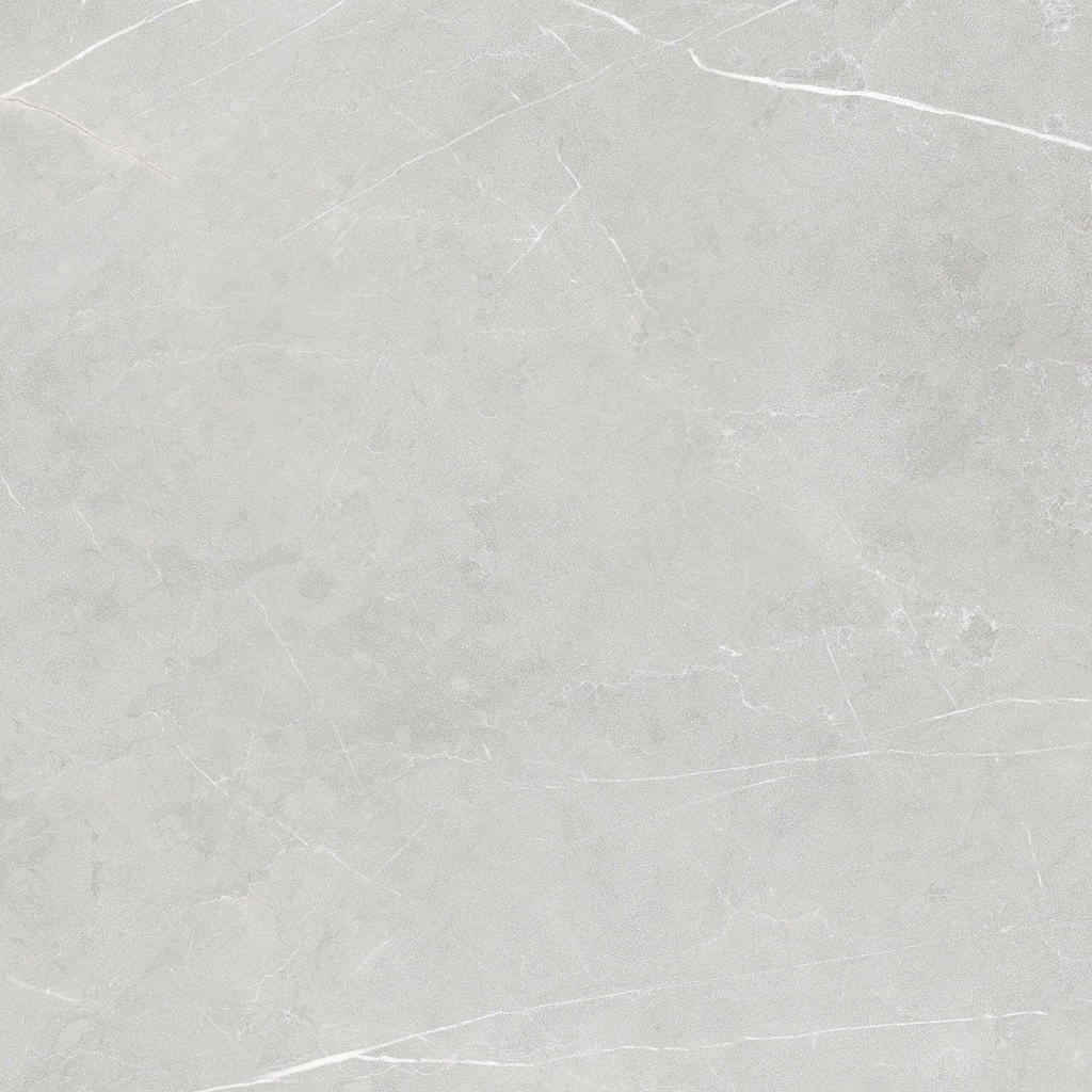 LIVING ALLURE 120x120 Light Grey Soft Textured (1,44m²/1st/doos)