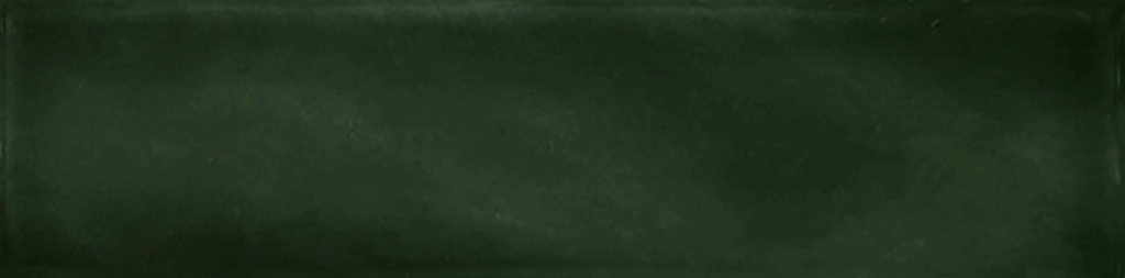 CX 6,2x25 Tonalite Fluid Ficus (0,47m²/30st/doos)