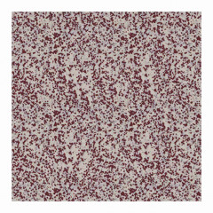 WINCKELMANS 10x10 Rouge Fijn Porfier 210 (0,5m²/50st/doos) 
