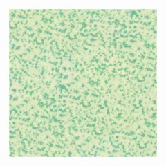 WINCKELMANS 10x10 Vert Fijn Porfier 209 (0,5m²/50st/doos) 