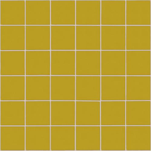 CESI FULL-BODY 5x5 Ottone (1m²/11mat/ds)