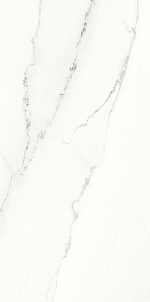 ARIOSTEA MARMI CLASSICI 120x60 Calacatta Lincoln Polished (1,44m²/2st/doos)
