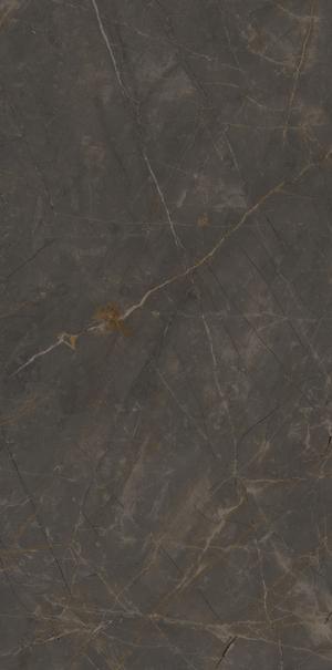 ARIOSTEA MARMI CLASSICI 120x60 Pulpis Grey Polished (1,44m²/2st/doos)