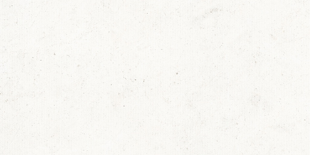 LIVING BERA&BEREN 60x120 DUCTILE RELIEFS LANE Bera Ice (1,43m²/2st/doos)