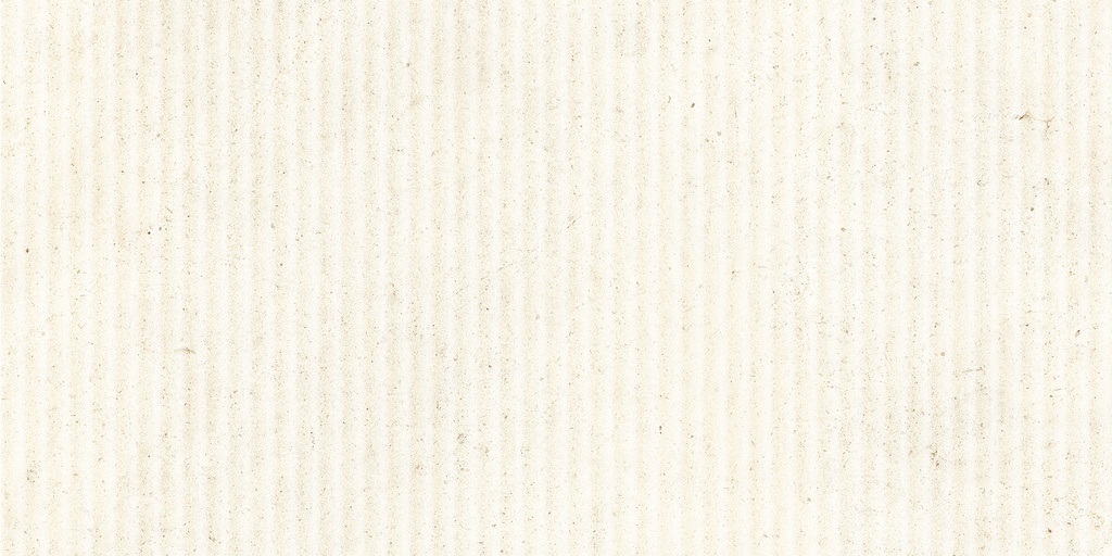 LIVING BERA&BEREN 60x120 DUCTILE RELIEFS LAND Bera White (1,43m²/2st/doos)