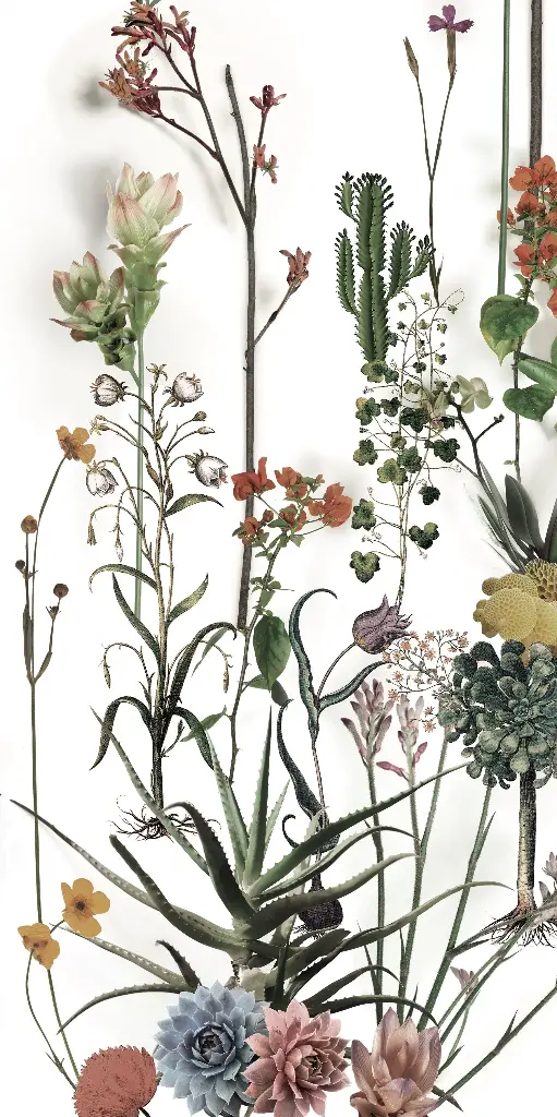 41ZERO42 PAPER41 LUX 60x120 Franz (2,16m²/3st/doos)