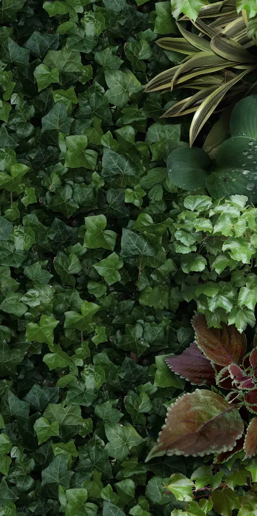 41ZERO42 PAPER41 PRO 50x100 Jane A (1m²/2st/doos)