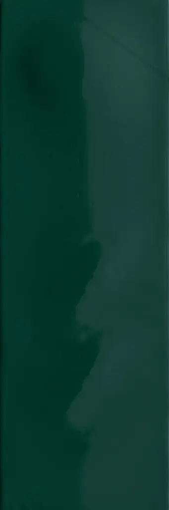 41ZERO42 SCG 5x15 Riviera Pineta (0,585m²/78st/doos)