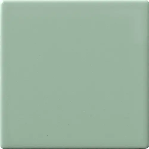 CESI MATT 10x10 Aloe (1m²/100st/doos)