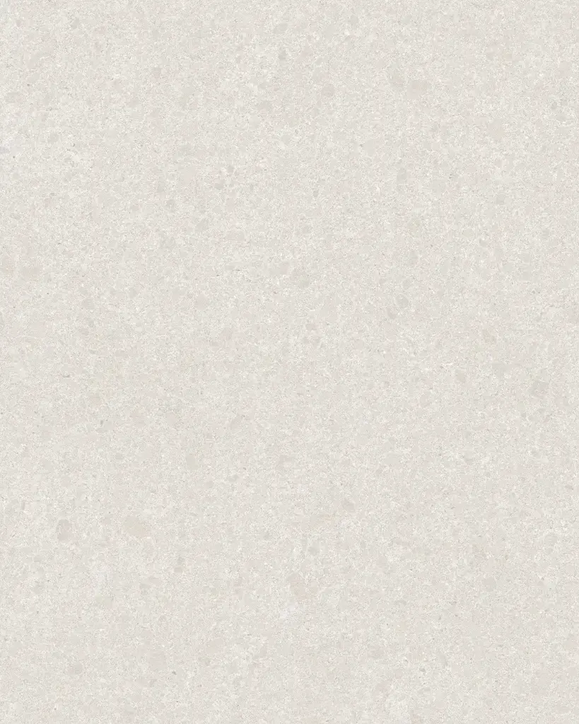 LIVING FRAME 60x120 DUCTILE 6mm BASE Ice Soft Textured (2,15m²/3st/doos)