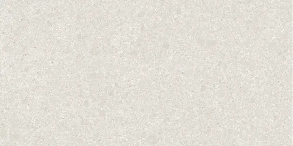 LIVING FRAME 60x120 Ice Soft Textured (1,43m²/2st/doos)