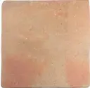 CX 22x22 Wow Roots L Cotto (0,73m²/15st/doos)