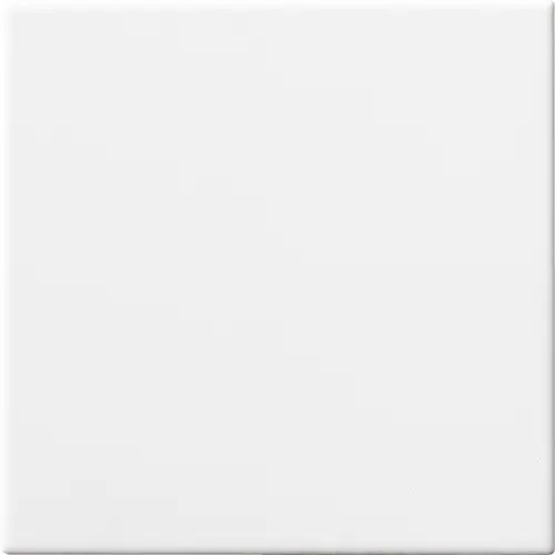 KALYSTA 15x15 Wit Mat (1m²/44st/doos)