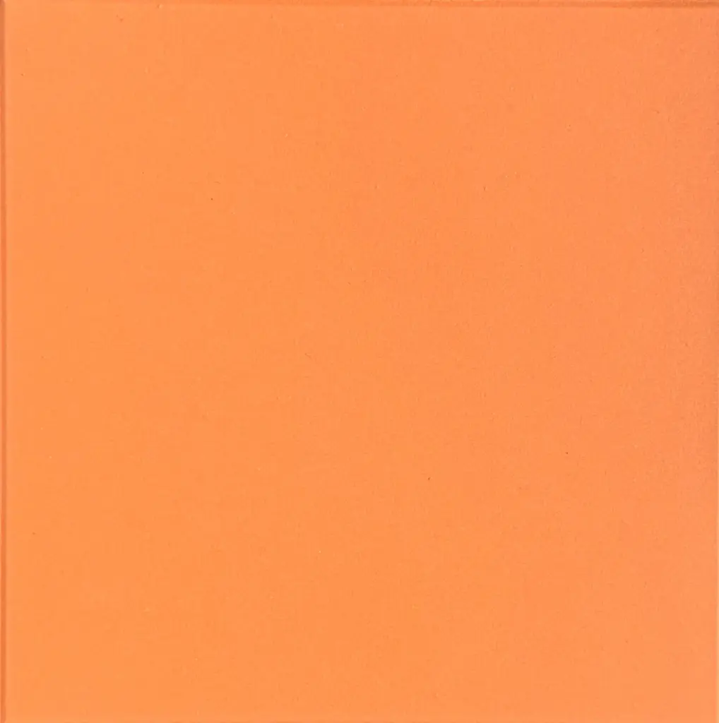 WINCKELMANS 10x10 Terracotta (0,5m²/50st/doos)