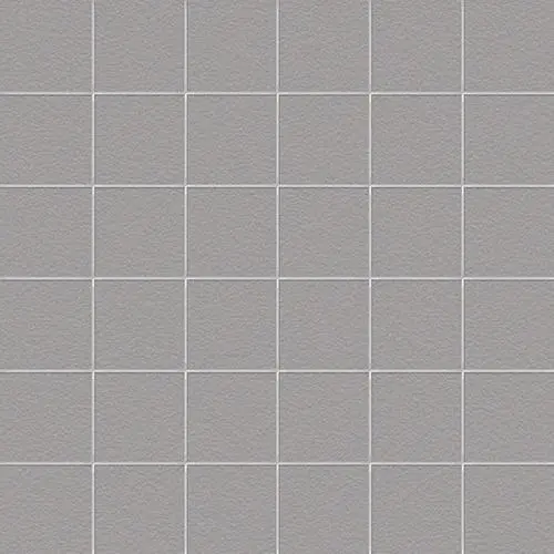 CESI ANTISLIP 5x5 Bindo (1m²/11vel/doos)