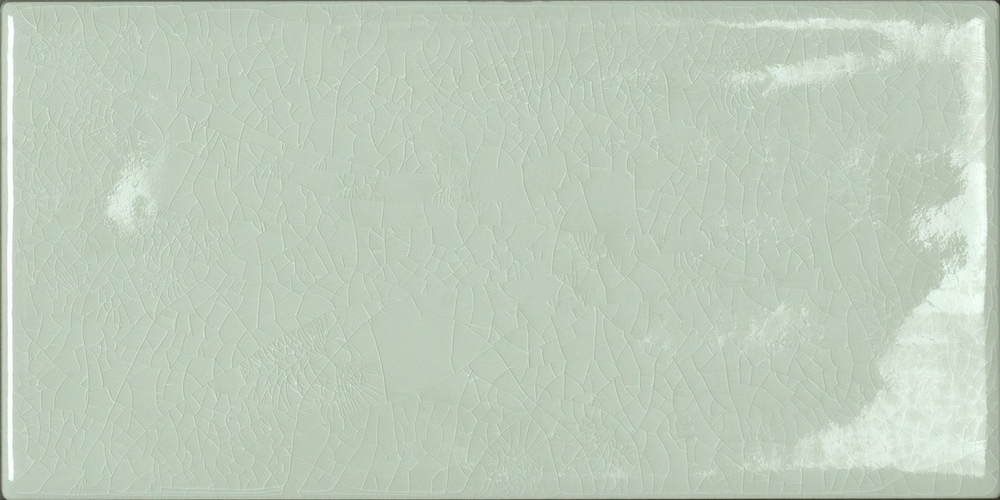 CX 10x20 Tonalite Briolette Olivite (1m²/50st/doos)